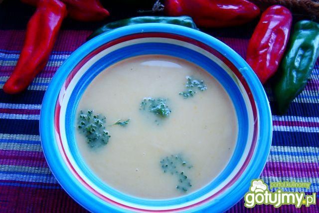 Zupa krem z kartofli