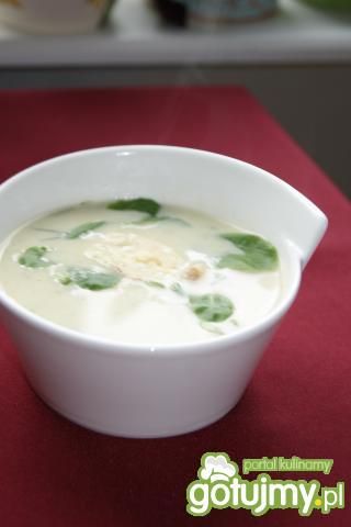 Zupa krem z młodej kapusty