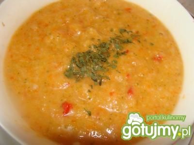 Zupa krem z papryki 4 Zupa krem z papryki 4