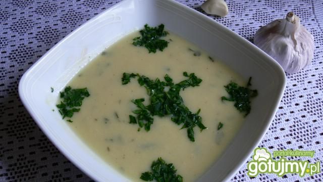 Zupa krem z pietruszki