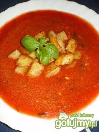 Zupa krem z pomidorów Zupa krem z pomidorów