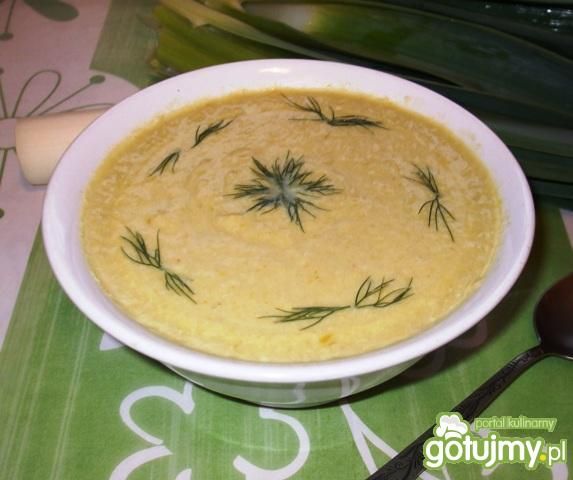 Zupa krem z porów, na kurczaku