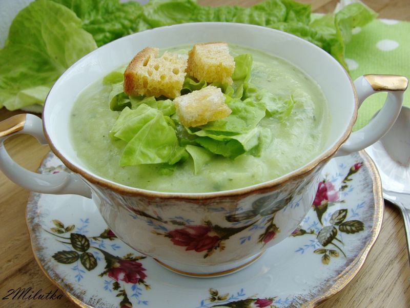 Zupa krem z zielonej sałaty Zupa krem z zielonej sałaty