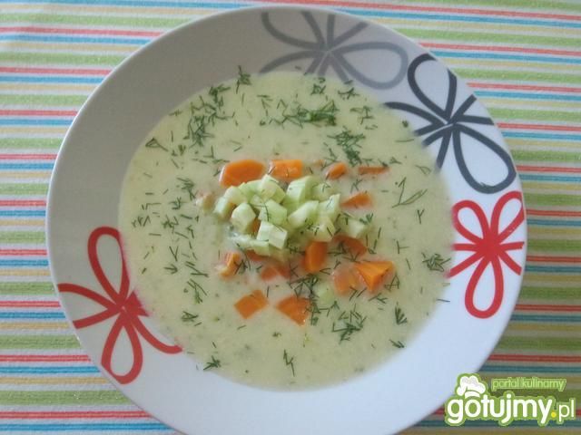 Zupa krem ze świeżego ogórka