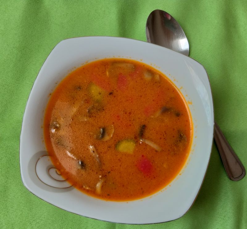 Zupa kurczakiem a la strogonow