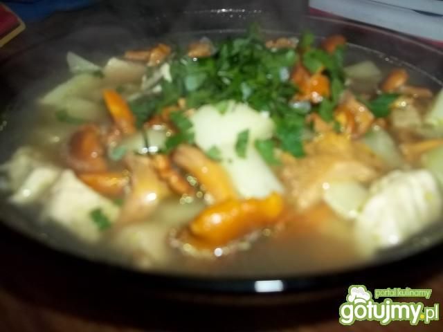 Zupa kurkowa 4 Zupa kurkowa 4