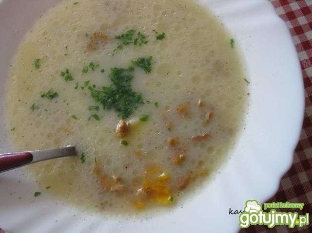 Zupa kurkowa 5 Zupa kurkowa 5