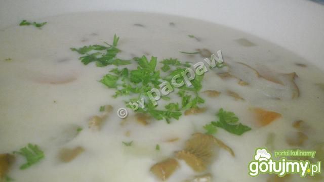 Zupa kurkowa Zupa kurkowa