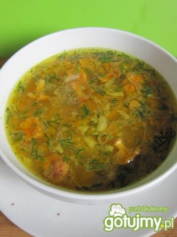 zupa kurkowa z dodatkiem koperku zupa kurkowa z dodatkiem koperku