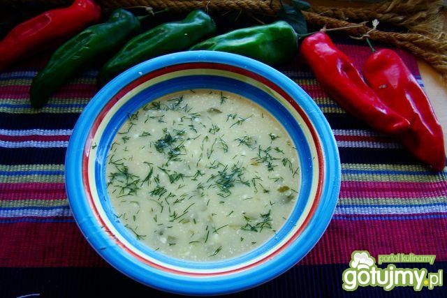 Zupa małosolna z serkiem topionym  Zupa małosolna z serkiem topionym