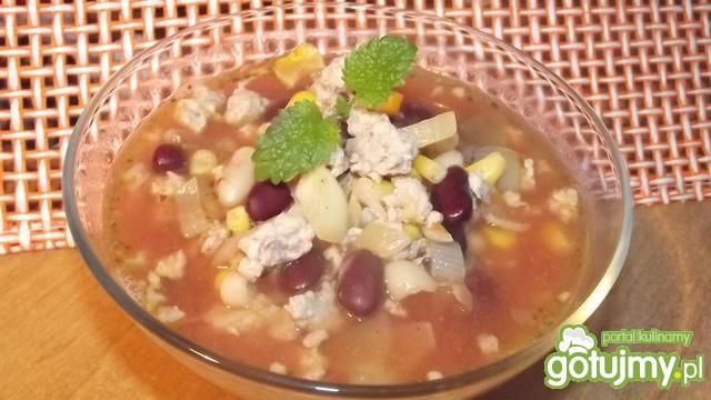 Zupa meksykanka Zupa meksykanka