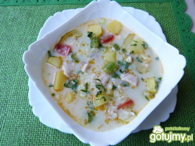 Zupa mix warzywny z ryżem i mięsem Zupa mix warzywny z ryżem i mięsem