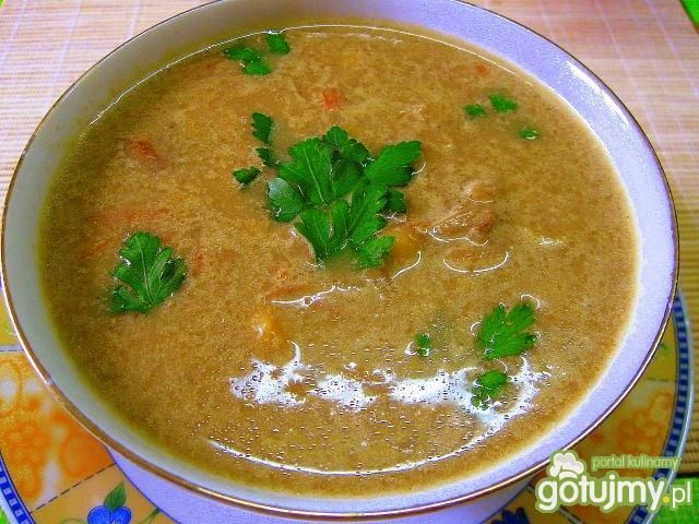 Zupa multigrzybowa Zupa multigrzybowa