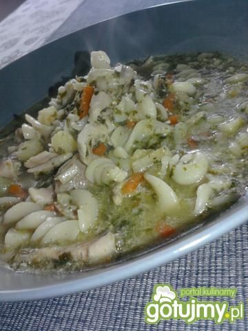 Zupa na indyku z makaronem