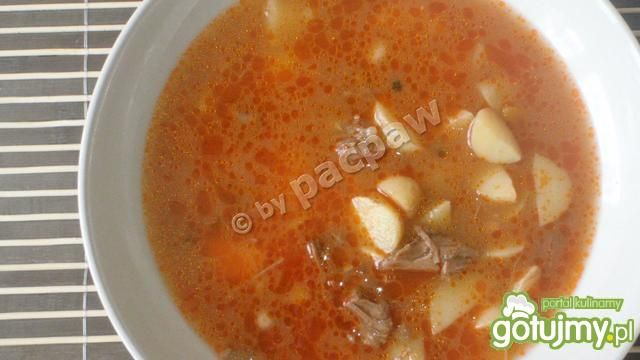Zupa ogonowa Zupa ogonowa