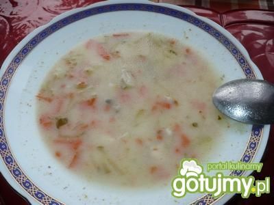 Zupa ogórkowa 15 Zupa ogórkowa 15