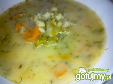 Zupa ogórkowa 2. Zupa ogórkowa 2.