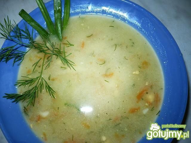 Zupa ogórkowa Zupa ogórkowa
