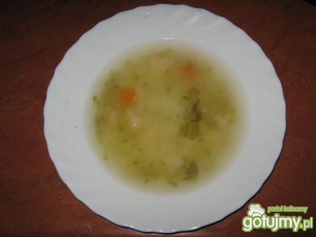 Zupa ogórkowa Zupa ogórkowa