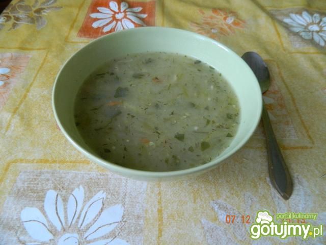 Zupa ogórkowa Darka Zupa ogórkowa Darka