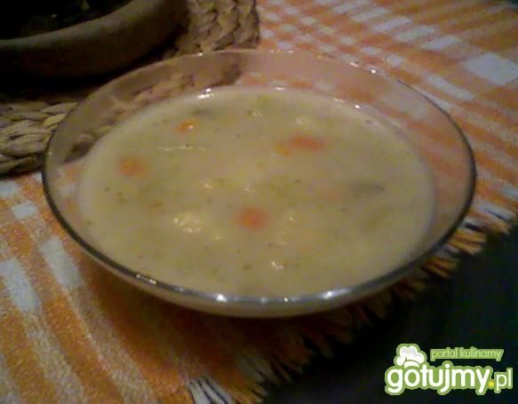 Zupa ogórkowa (jarska)