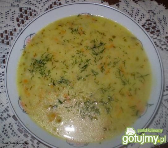 Zupa ogórkowa z ryżem : Zupa ogórkowa z ryżem :