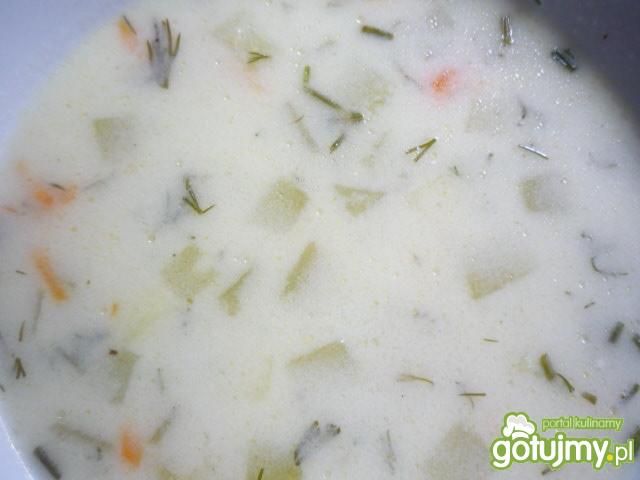 Zupa ogórkowa z świeżych ogórków Zupa ogórkowa z świeżych ogórków