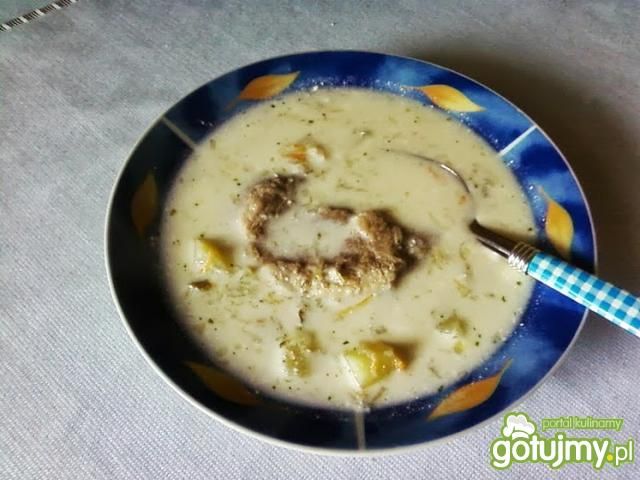 Zupa ogórkowa z wkładką. Zupa ogórkowa z wkładką.