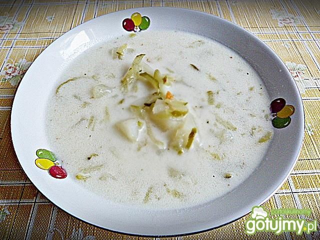 Zupa ogórkowa ze śmietaną  Zupa ogórkowa ze śmietaną