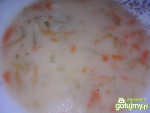 Zupa ogórkowo - jarzynowa