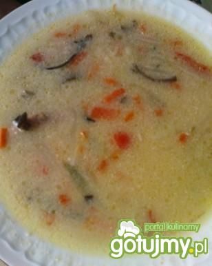 Zupa paprykowo-ogórkowa