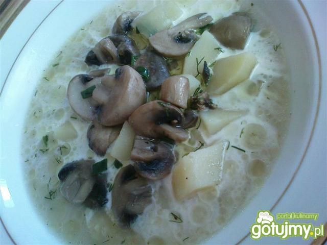 Zupa pieczarkowa   Zupa pieczarkowa
