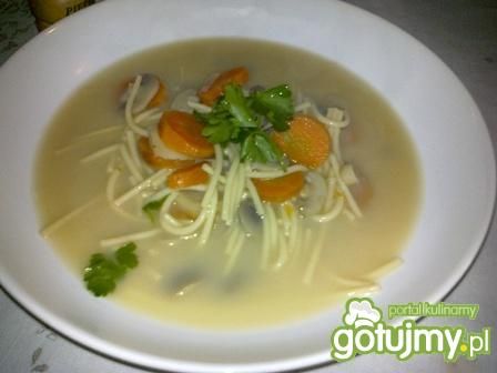 Zupa pieczarkowa wg MARIA66