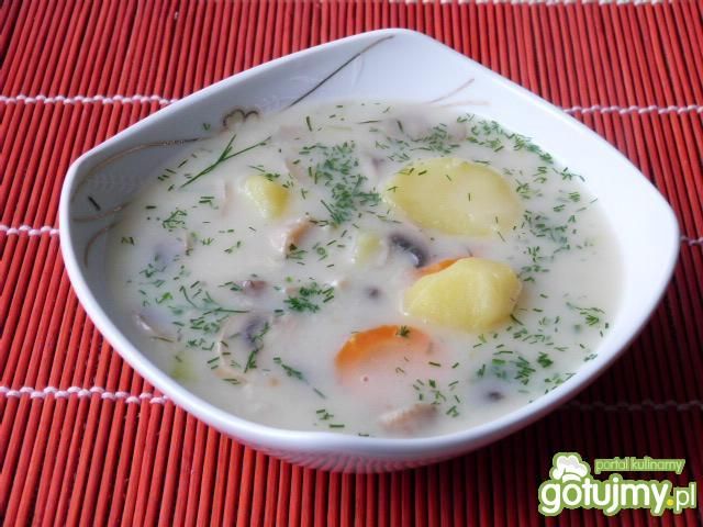 Zupa pieczarkowa z koperkiem  Zupa pieczarkowa z koperkiem