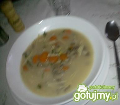 Zupa pieczarkowa z makaronem Zupa pieczarkowa z makaronem