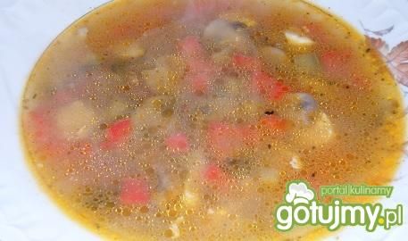 Zupa pieczarkowa z papryką