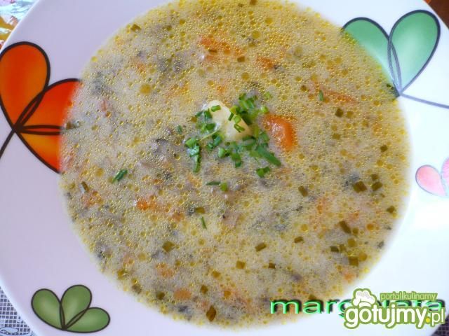 Zupa pieczarkowa ze szczypiorkiem Zupa pieczarkowa ze szczypiorkiem