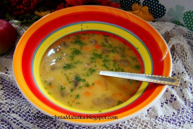 Zupa pieczarkowo- borowikowa 