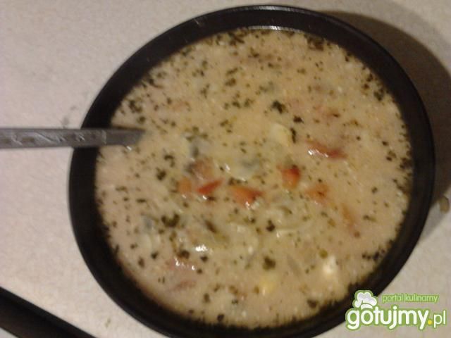 zupa pizza zupa pizza