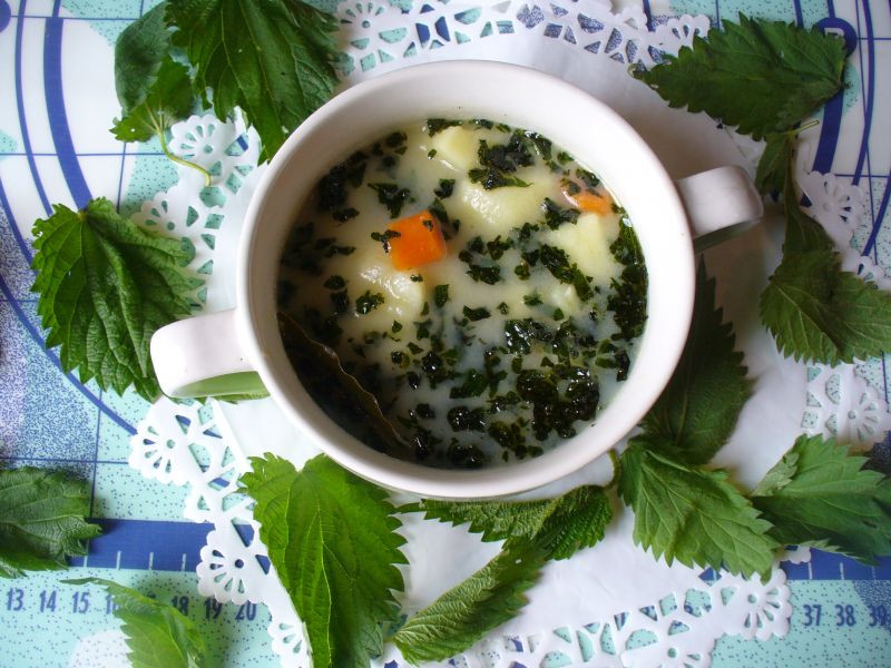 Zupa pokrzywowa z ziemniakami
