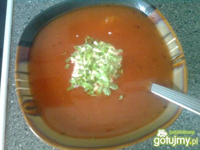 zupa pomidorowa zupa pomidorowa