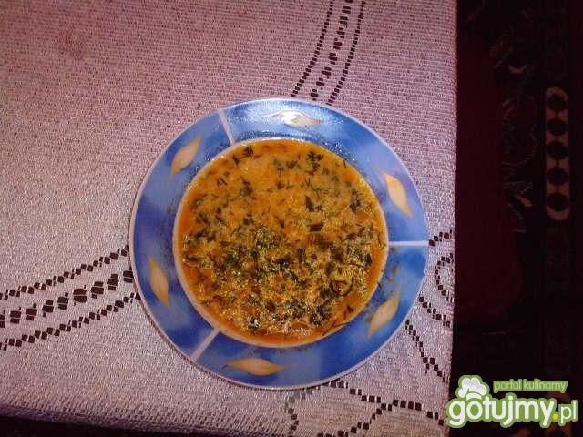 Zupa pomidorowa Zupa pomidorowa
