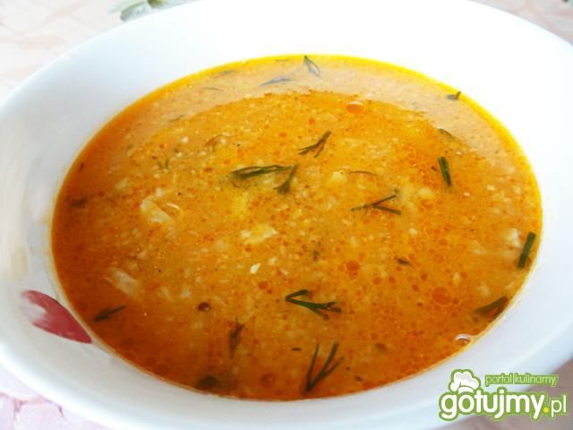 Zupa pomidorowa z cukinią Zupa pomidorowa z cukinią