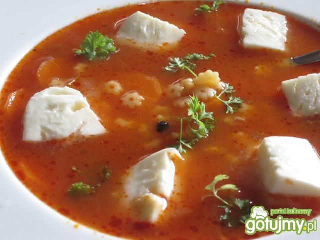 Zupa pomidorowa z mozzarellą Zupa pomidorowa z mozzarellą