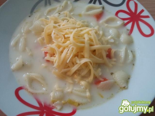 Zupa poniedziałkowa z serem Zupa poniedziałkowa z serem