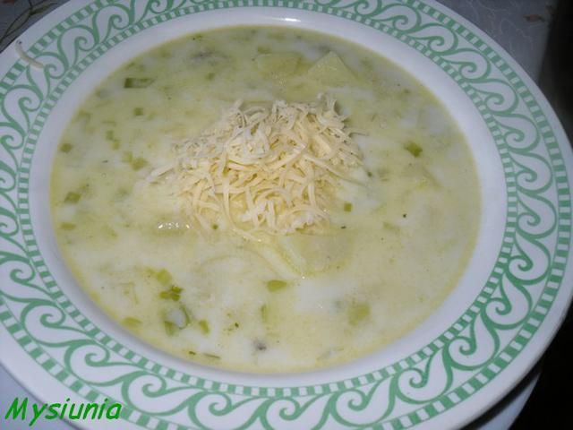 zupa porowa z serem  zupa porowa z serem