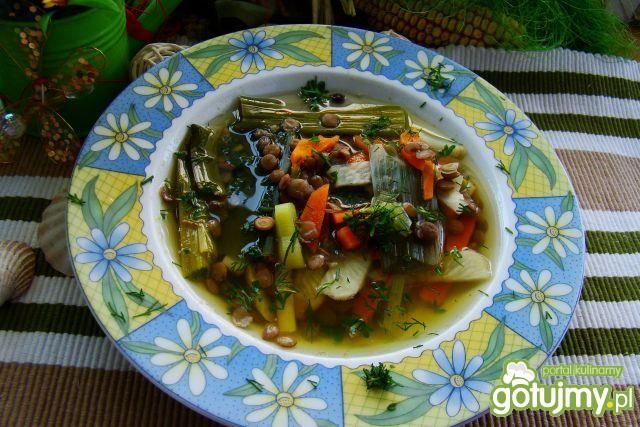 Zupa porowa z zieloną soczewicą  Zupa porowa z zieloną soczewicą