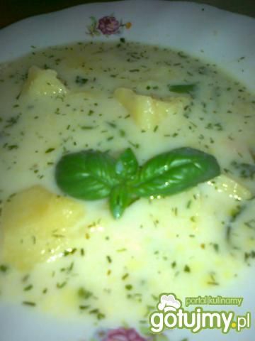 Zupa porowa z ziemniakami Zupa porowa z ziemniakami