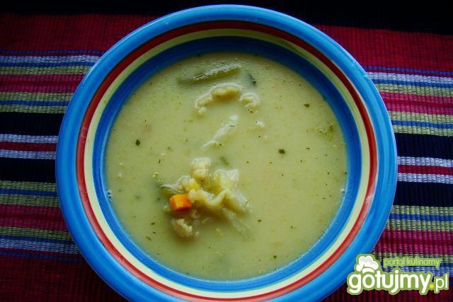 Zupa porowo-kalafiorowa 