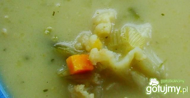 Zupa porowo-kalafiorowa 